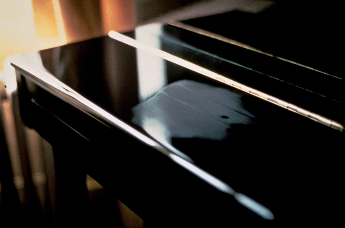 Gabriel Orozco Breath on Piano 1993